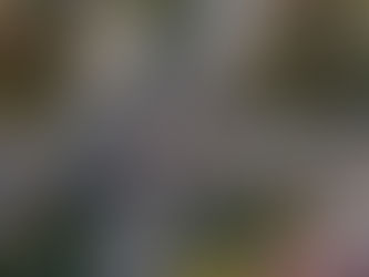 Boletín informativo de marzo de 2026