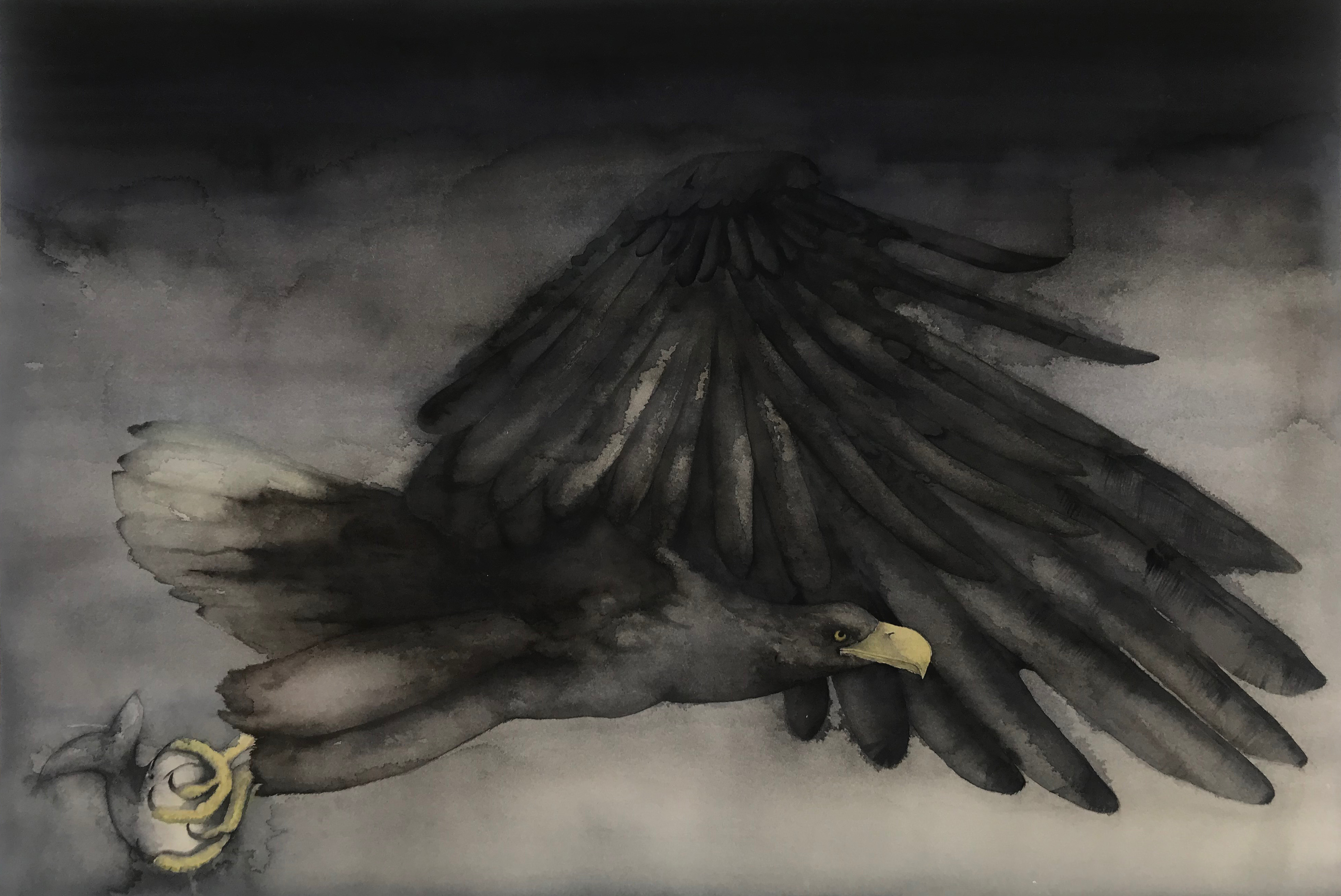 White-taled eagle
