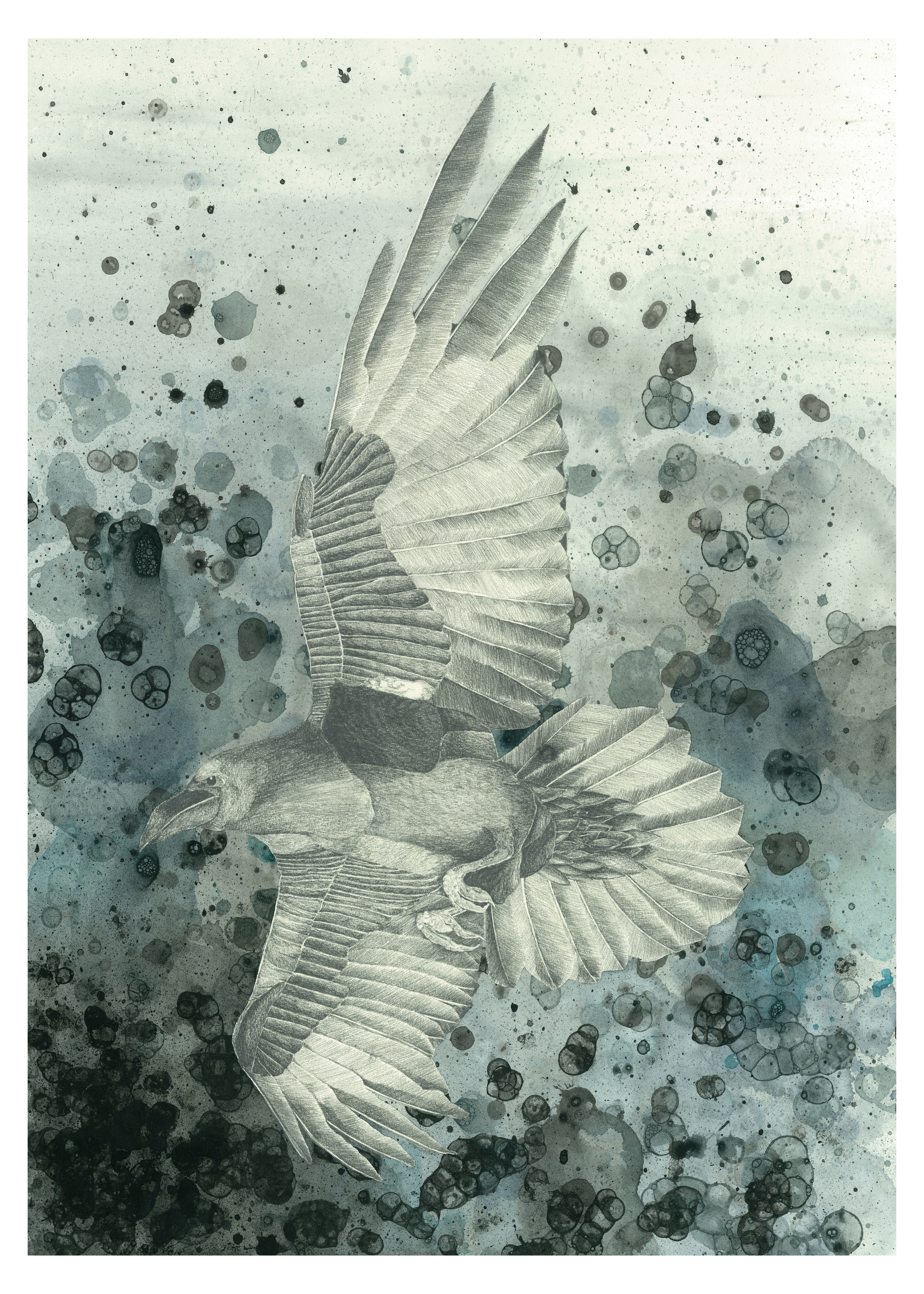 The Raven