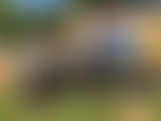 RESULTATS du 19ème championnat d’Europe d’imitation de Brame du cerf