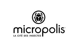 MICROPOLIS