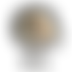 The True Cost of Launching a Product: What Startups Need to Know