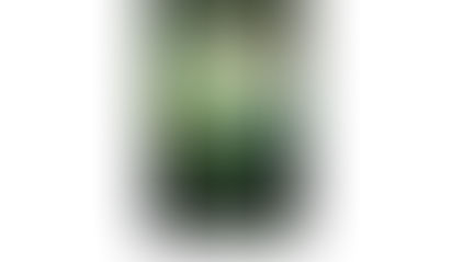 Book Review:  Otherworld By Chris Allaun