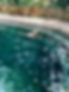 DC98F17D-05D4-4260-810F-2C1DAFB016E5.jpg