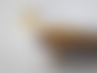 Pourquoi réduire sa consommation de papier est plus important qu’il n’y parait ?