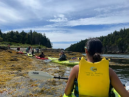 Queer Sea Kayak: Malaga Island