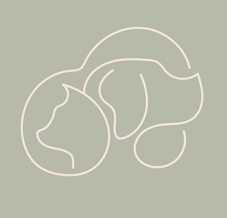 Post Instagram Dia Mundial da Luta Contra a Raiva moderno Marrom e amarelo (7).png