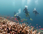 sipadan_0000079708.jpg