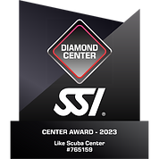 Diamond center 2023