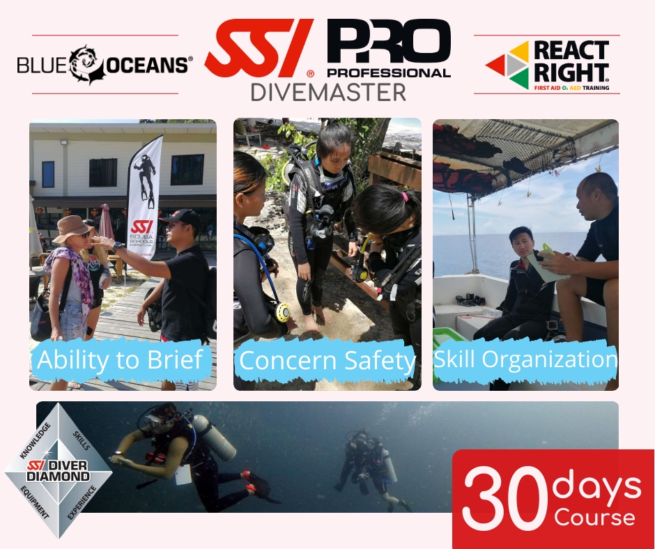 DIVEMASTER