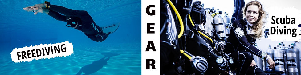 dive shop- front page.jpeg