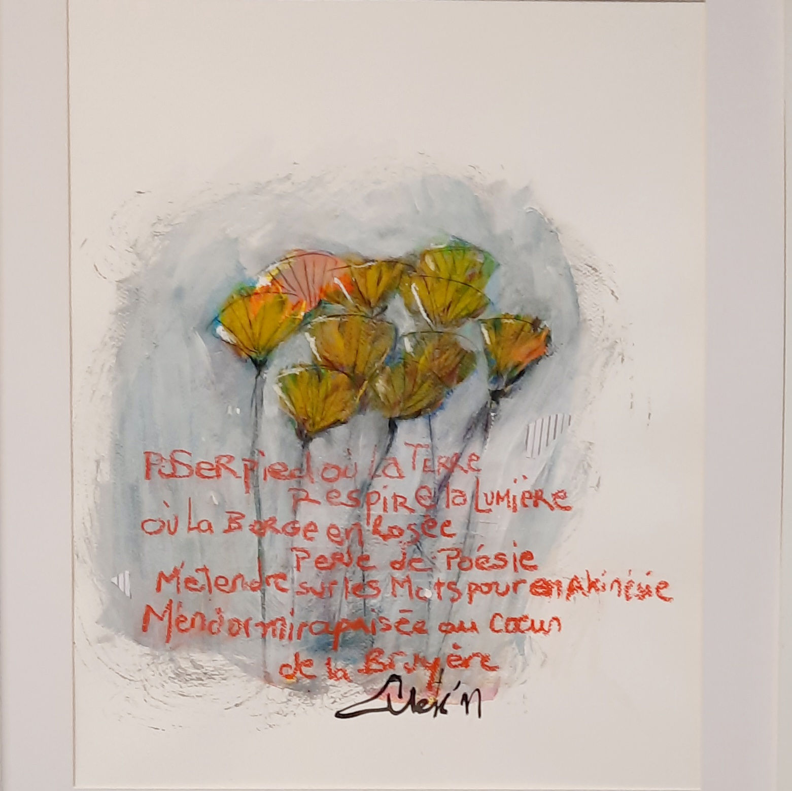 Pavots / Poppies