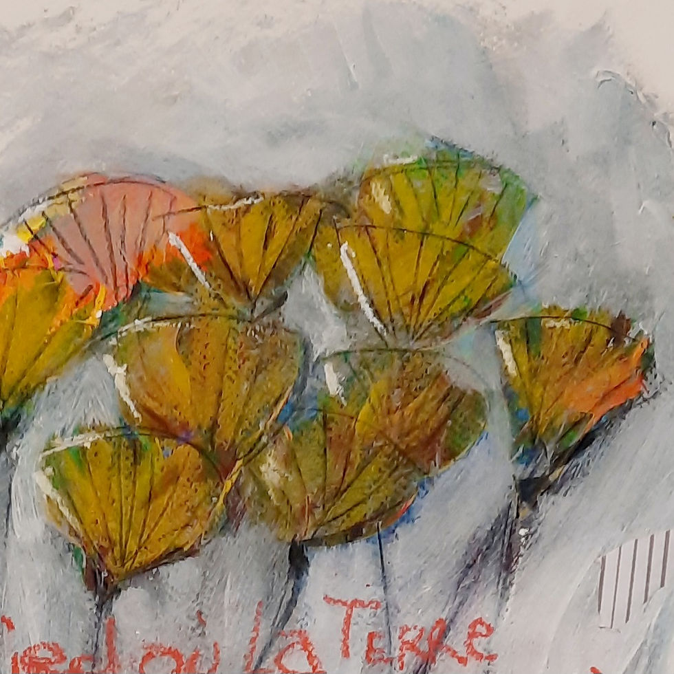 Miniature : Pavots / Poppies