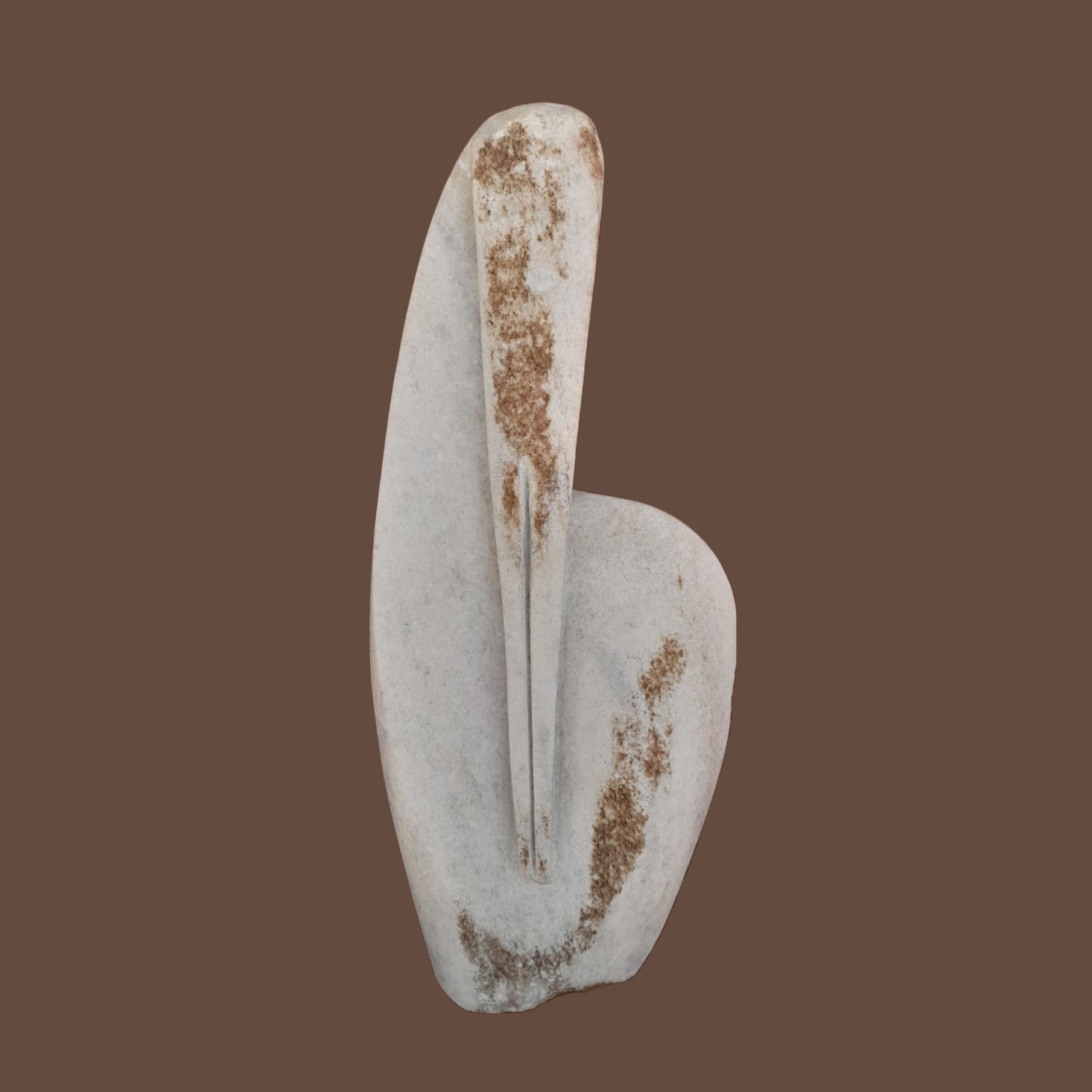 Pelican