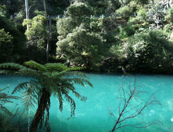 Screen Shot 03-12-15 at 08.38 PM 001.JPG