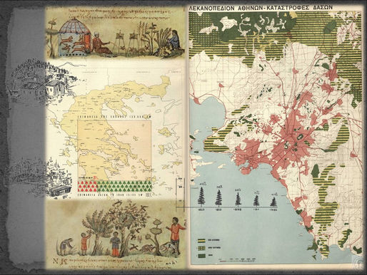 Co-organization of the 9th Two-Day Environmental History Conference entitled "Lungs of the Earth"