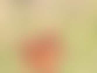 Easter Wishes 2024. The Panhellenic Association of Landscape Architects wishes you a happy Resurrection and a happy Easter! 