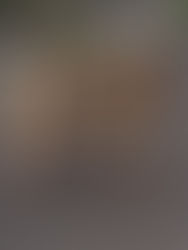 How about a 'holiday snaps wall'