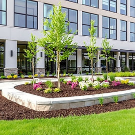 commercial landscaping.jpg