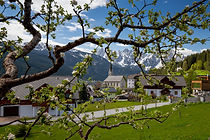 Gosau im Frühling