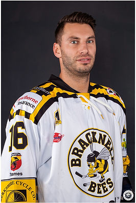 Matt-Foord-Bees.jpg