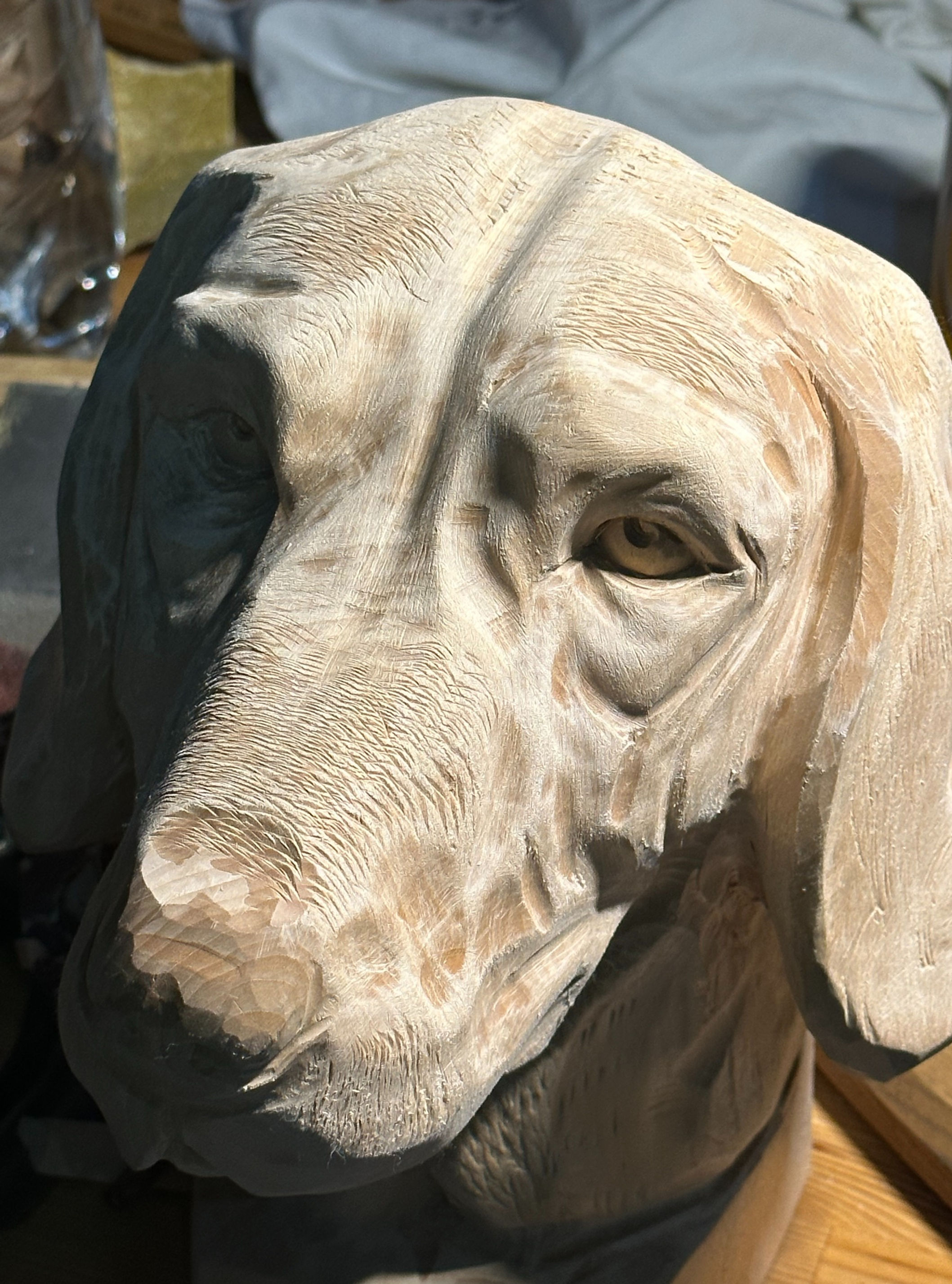 Hundebüste Lindenholz