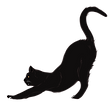 SHAP_Cat.png