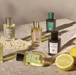 Acqua Di Parma Perfumes And Colognes | All Fragrances | Wholesale supplier