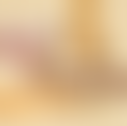 Elizabeth Arden| Wholesale supplier