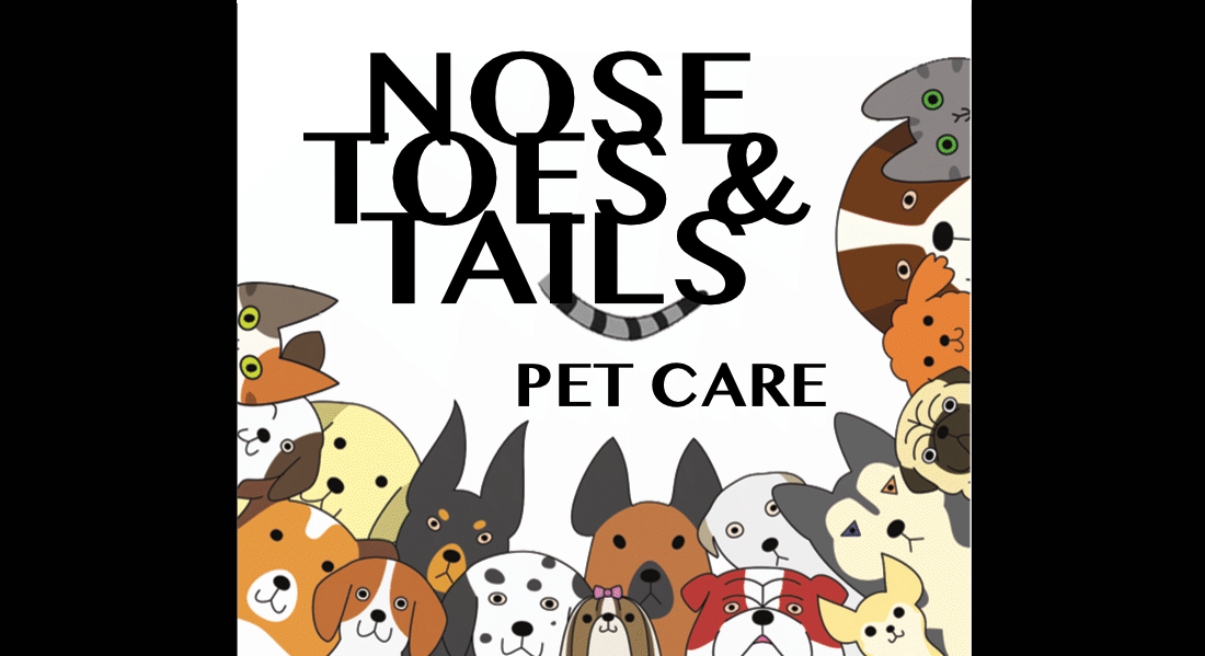 Pet Sitters & Dog Walkers Nose, Toes & Tails Pet Care