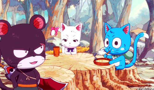 Exceeds