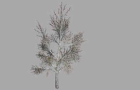 bandicam 2018-12-20 09-23-40-781.jpg