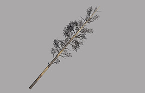 bandicam 2018-12-20 09-15-37-388.jpg