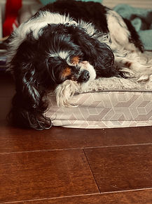Charlie