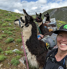 Angie is a long time Oregon resident originally from the midwest. Coming from a family that embraces ingenuity and hard work, she approaches many aspects of her life with a "can do" attitude. Angie learned the art of stained glass more than 20 years ago and has easily fallen instep with the DIY Cave's "Think It, Make It" motto.
Students enrolled should be prepared for their first class by watching the provided video links to prepare them with a broad understanding of the process so that we can jump right in to making their own glass creation. A selection of predetermined beginner patterns will be provided for students to choose from. We'll start with glass selection and cutting and move on to grinding and applying copper foil in the first class. Lab time can be scheduled in between the first and second class to ensure each student is at the same point in the process at the beginning of the second class. In the second glass we will solder, clean and hang your suncatcher.