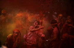 Holi4.jpg