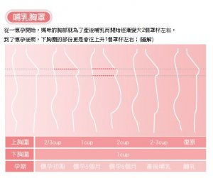 Thumbnail: Mamaway Far Infrared Ray Fibre Nursing Bra