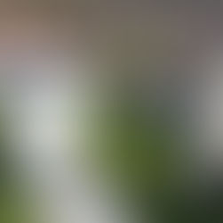 Santa Maria della Divina Grazia: mille anni di storia tra il campanile romanico e la rinascita moderna