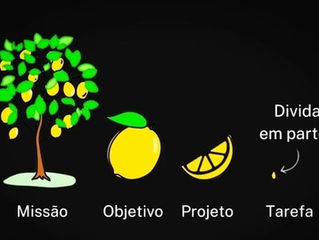Sua meta, com prazo, é objetivo