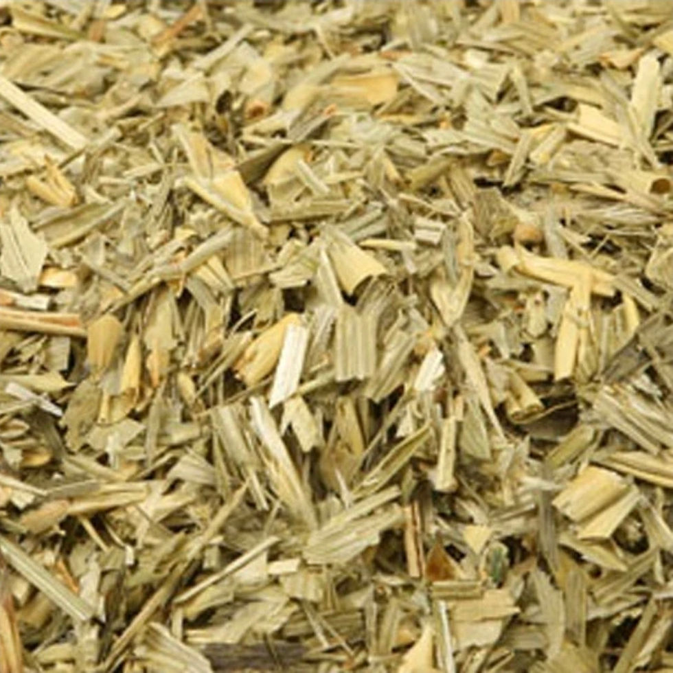 Dried organic oat straw pieces for herbal tea.