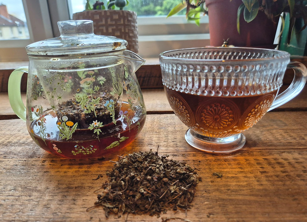 Thumbnail: Tulsi (Holy Basil)