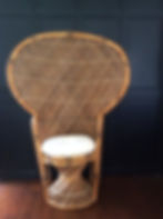 Willow Peacock Chair