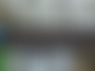 Burton Mere Wetlands