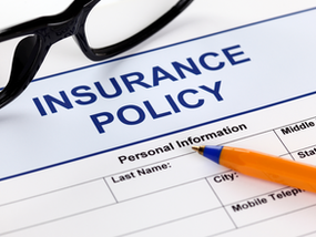 Picture from Insurance Policy Paper