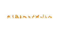 hie(3).png
