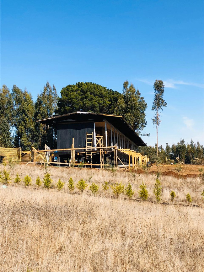 demo arquitectos casa olivos