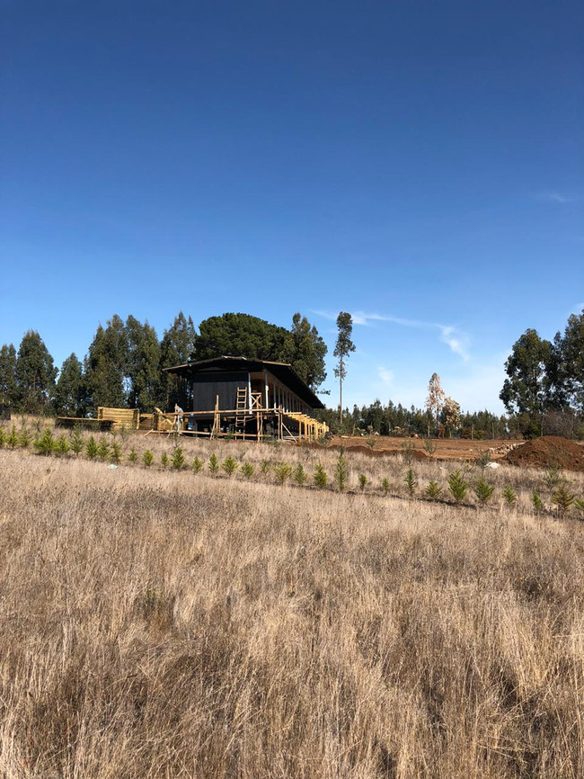 demo arquitectos casa olivos