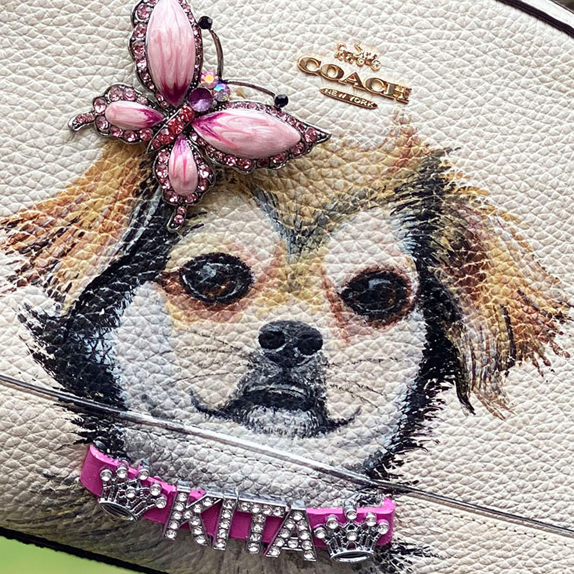 Kita with Blingy Collar