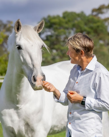 Person feeding a white horse in a sunlit field. A symbol of trust, communication, and leadership in equine-assisted learning.