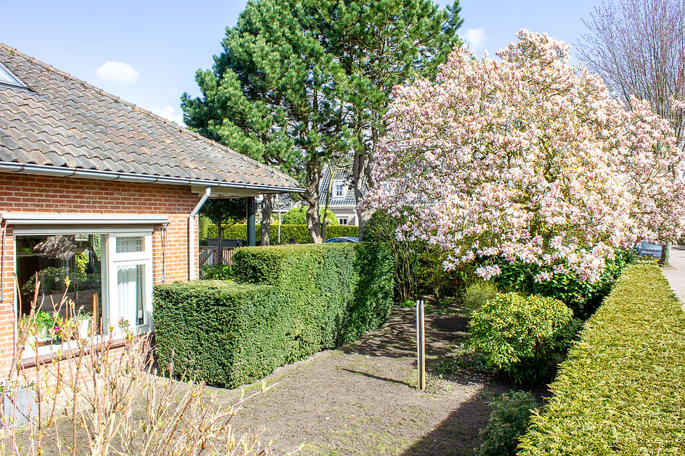 Tuin H.N. hovenier